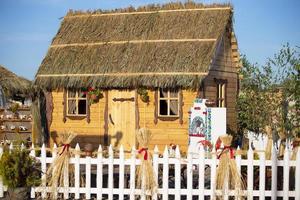 ein Dorf ukrainisch Hütte mit ein Stroh Dach. foto