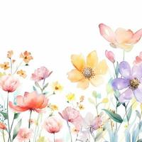 Aquarell Frühlingsblumen foto