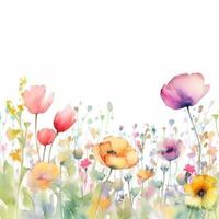 Aquarell Frühlingsblumen foto