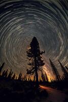 Baum Sitzung im das Mitte von ein Wald unter ein Star gefüllt Himmel. generativ ai. foto