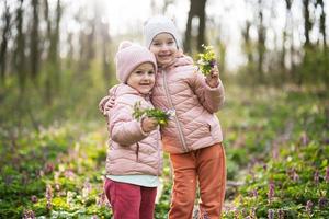 Porträt von zwei wenig Schwestern mit Strauß von Blumen auf sonnig Wald. draussen Frühling Freizeit Konzept. foto