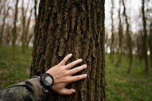 Mann Hände mit Militär- Uhren beugte sich vor zu Baum auf Wald. Liebe zu Natur. foto