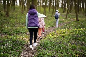 zurück Aussicht von Mutter mit drei Kinder Gehen auf Wald Pfad. draussen Frühling Freizeit Konzept. foto