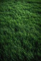 Grün Gras Hintergrund Textur. Element von Design. abstrakt Grün Gras Hintergrund. Grün Gras Textur. generativ ai. foto