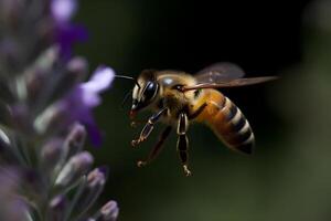 ai generiert Nahansicht Aussicht von Honig Biene auf das Tisch, im ein Flug und auf Bienenwabe. nützlich Insekt foto