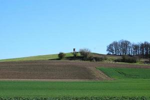 gepflügt und Grün Felder foto