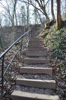 lange Treppe im das Fett gedruckt Wald foto