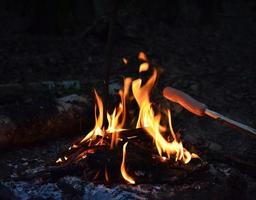 Verbrennung Holz Protokolle im das Nacht. verschwommen Licht. hell rot Feuer. Natur Bild. foto