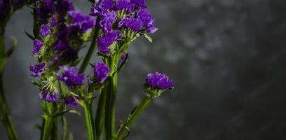 Wellenblatt Meer Lavendel, Statik, Limonium. Blau Blume Nahaufnahme. schön Wildblumen. foto