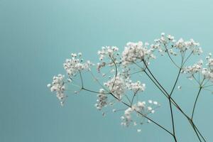 Blumen Komposition romantisch. Blumen, Foto Rahmen auf Pastell- Blau Hintergrund. Valentinstag Tag, Ostern, Geburtstag, glücklich Damen Tag, Mutter Tag. eben legen, oben Sicht, Kopieren Raum. generativ ai