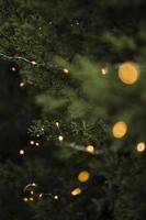 Weihnachtsdekoration mit schönen Baumlichtern foto