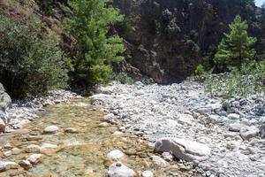 Wald und Berg Landschaft, Wanderwege von Reisende und Berge im das Distanz. hölzern Brücken und Streams foto