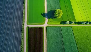 generativ ai, Bauernhof Landschaft, landwirtschaftlich Felder, schön Landschaft, Land Straße. Natur Illustration, fotorealistisch oben Aussicht Drohne, horizontal Banner. foto