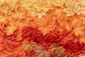 flach liegende Herbstblätter Oberfläche