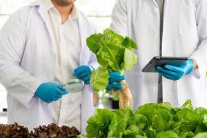 Wissenschaftler Mannschaft tun Experiment im Landwirtschaft Labor zu entwickeln genetisch Änderung Pflanzen foto