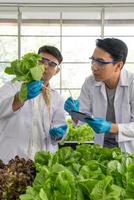 Wissenschaftler Mannschaft tun Experiment im Landwirtschaft Labor zu entwickeln genetisch Änderung Pflanzen foto