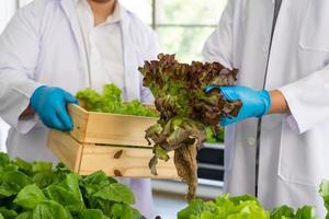 Wissenschaftler Mannschaft tun Experiment im Landwirtschaft Labor zu entwickeln genetisch Änderung Pflanzen foto