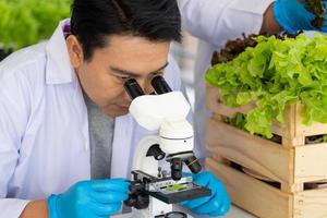 Wissenschaftler Mannschaft tun Experiment im Landwirtschaft Labor zu entwickeln genetisch Änderung Pflanzen foto