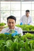 Wissenschaftler Mannschaft tun Experiment im Landwirtschaft Labor zu entwickeln genetisch Änderung Pflanzen foto