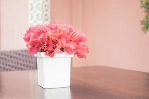 Bougainvillea Blume in der Vase foto