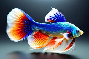 Erfassung das ziehen um Moment von rot blau Siamese Kampf Fisch isoliert auf schwarz Hintergrund. ai generiert foto