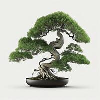 Bonsai Baum auf Weiß Hintergrund, erstellt mit generativ ai foto