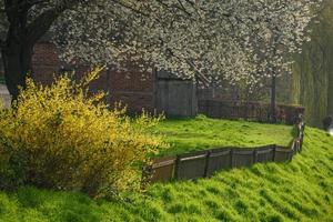 Frühlingszeit in Westfalen foto