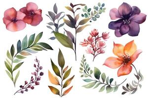 Aquarell Blumen- Elemente einstellen mit Blätter und Blumen. ai generiert foto