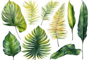 Aquarell Palme Blätter einstellen zum Urwald Illustrationen. ai generiert foto