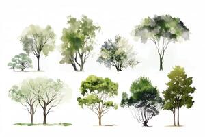 Sammlung von Bäume auf Weiß Hintergrund. ai generiert foto