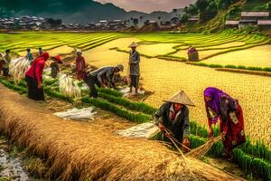 Bauern sind Pflanzen Reis im das Bauernhof. Bauern Kurve zu wachsen reis.landwirtschaft im Asien. Anbau mit Personen. neural Netzwerk ai generiert foto