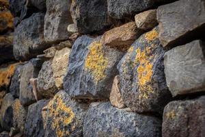 schließen oben Gelb Flechte Startseite das Rau Stein Mauer Konzept Foto. Show mit Makro Sicht. Felsen voll von das Moos Textur im Natur zum Hintergrund. foto