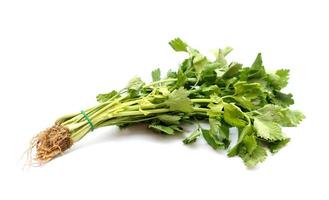 frisch organisch Sellerie Gemüse, isoliert auf Weiß Hintergrund. Konzept, Kräuter- Pflanze zu Jahreszeit Essen oder Belag Dekoration auf Teller von Lebensmittel. foto