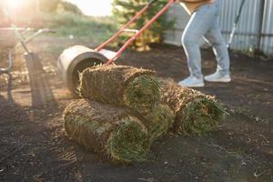 nahaufnahme frau, die sod für neuen gartenrasen legt - rasenverlegungskonzept foto