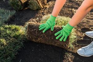 nahaufnahme frau, die sod für neuen gartenrasen legt - rasenverlegungskonzept foto