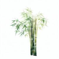Aquarell Stil Gemälde generativ ai mit hoch Detail auf ein Weiß Hintergrund. Wasser Farbe Bambus mit Grün Blätter. traditionell Chinesisch malen. foto