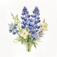 Strauß von Bluebonnets Aquarell mit leer Weiß Hintergrund, erzeugen ai foto