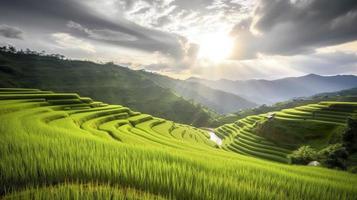 Foto Terrassen Reis Felder auf Berg im Thailand, erzeugen ai