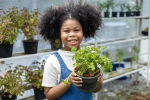 Porträt von afrikanisch Kind ist wählen Gemüse und Petersilie Kraut Pflanze von das lokal Garten Center Kindergarten mit Sommer- Pflanze zum Wochenende Gartenarbeit und draussen Konzept foto