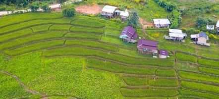 Luftaufnahme der grünen terrassierten Reisfelder