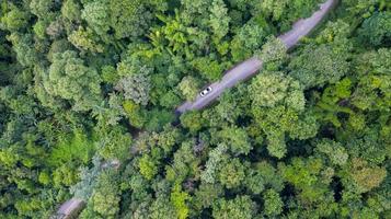 Luft Draufsicht Auto, das durch den Wald auf Landstraße fährt, Blick von Drohne foto