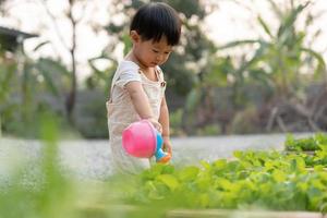 organisch Landwirtschaft beim heim, organisch Gemüse Bauernhof. Kinder Bewässerung organisch Gemüse . nicht giftig Gemüse wachsen natürlich. Gewächshaus Garten, ökologisch biologisch, gesund, Vegetarier, Ökologie foto