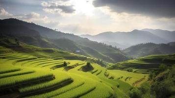 Foto Terrassen Reis Felder auf Berg im Thailand, erzeugen ai