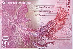 Fischadler ein Porträt von schottisch Geld foto