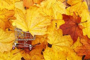 Herbstlaub Hintergrund mit Einkaufswagen. herbstrabatt und verkaufskonzept foto