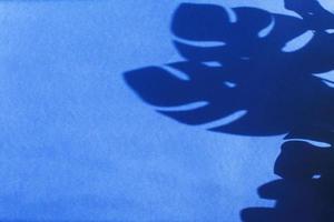 Monstera-Blattschatten auf blauem Hintergrund mit Platz für Text. Natur Hintergrund foto