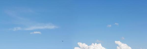 Licht Wolken im das Blau Himmel mit ein Vogel. Licht Blau Banner. foto