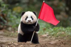 Panda rot Flagge. generieren ai foto