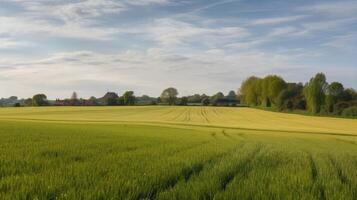 ein Landschaft mit Felder und Ackerland. generativ ai foto