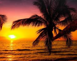schön Sonnenuntergang Über das Meer mit Palme Baum auf das tropisch Strand Hintergrund zum Reise foto